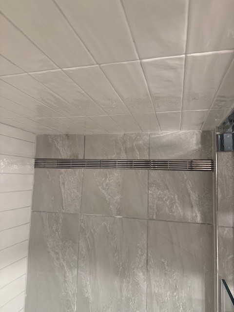 newly renovated bathroom shower